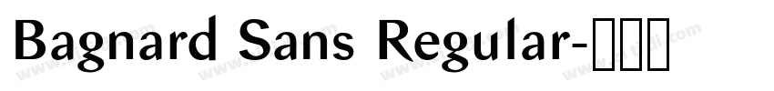 Bagnard Sans Regular字体转换